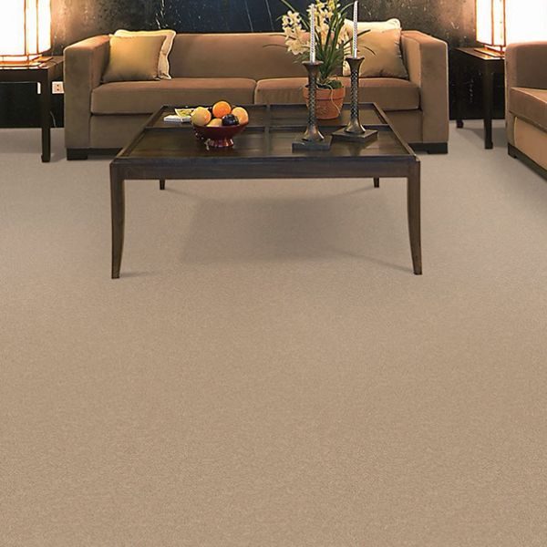 FSP-009-c1