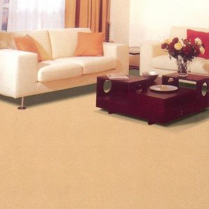 FSP-009-c2